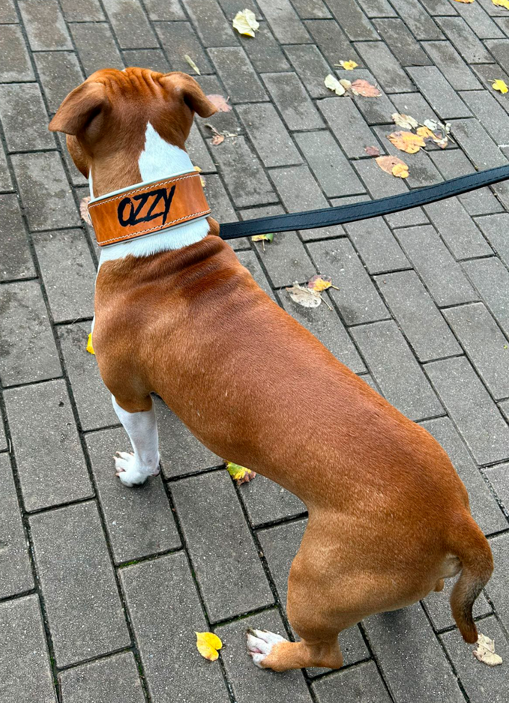 Collar para perro grande, de color marrón claro con el interior blanco, el collar es personalizable con el nombre.