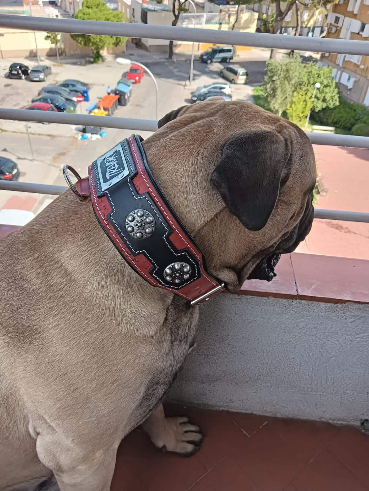 Collar para perro de cuero de dos colores, rojo y negro,. El collar es personalizable con el nombre del perro