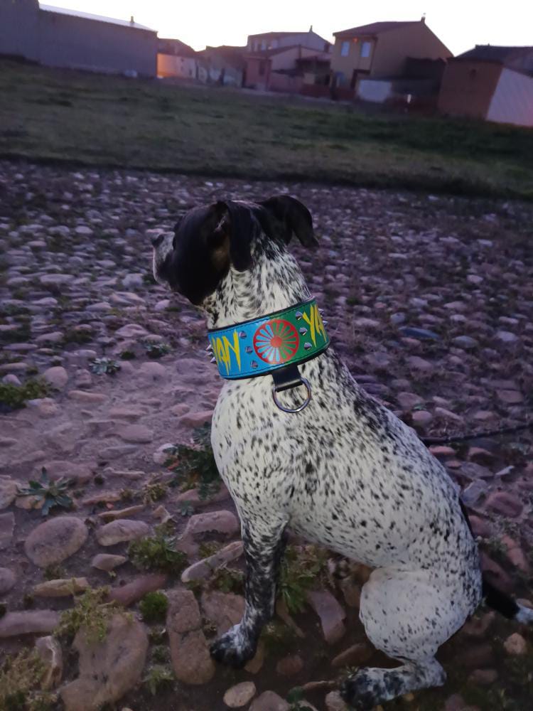 Ajax