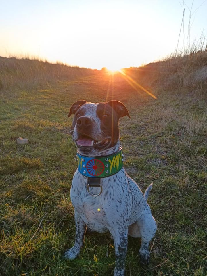 Ajax