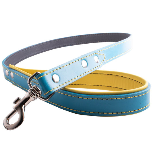 Correa para perro azul y amarillo.