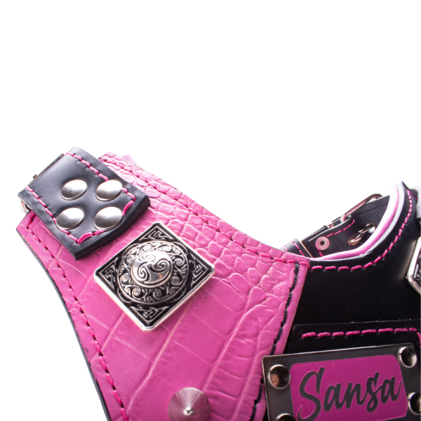 Arnés para perro personalizado
