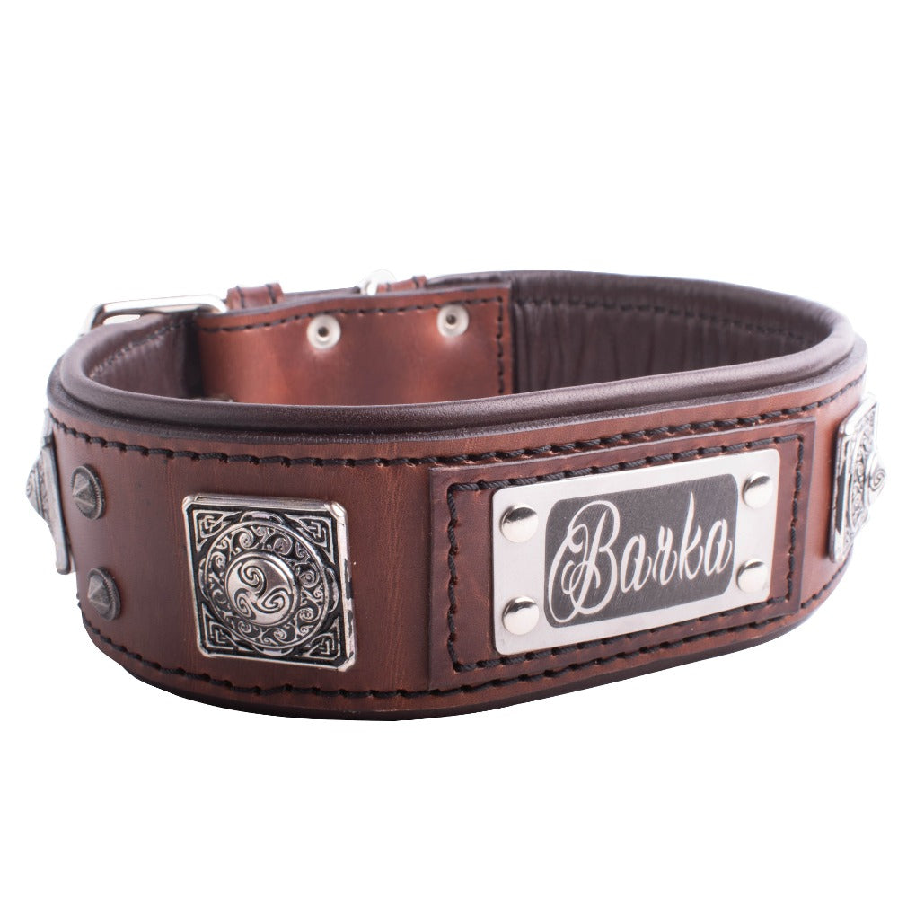 collar para pitbull