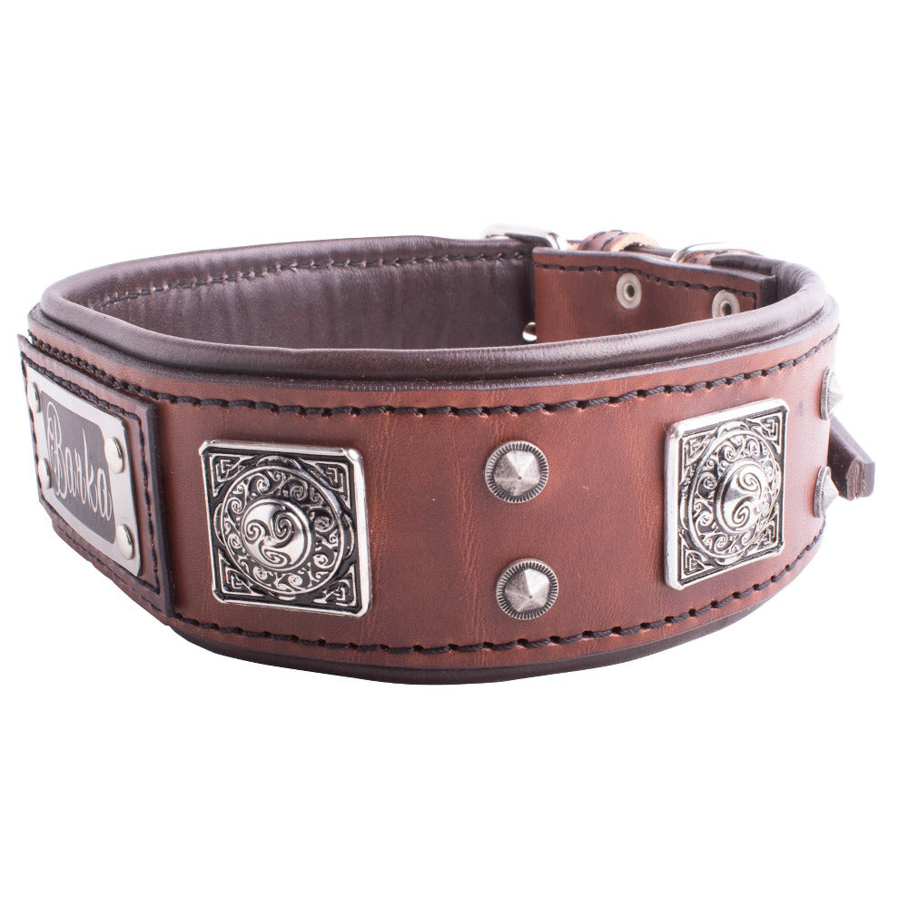 collar perro personalizado