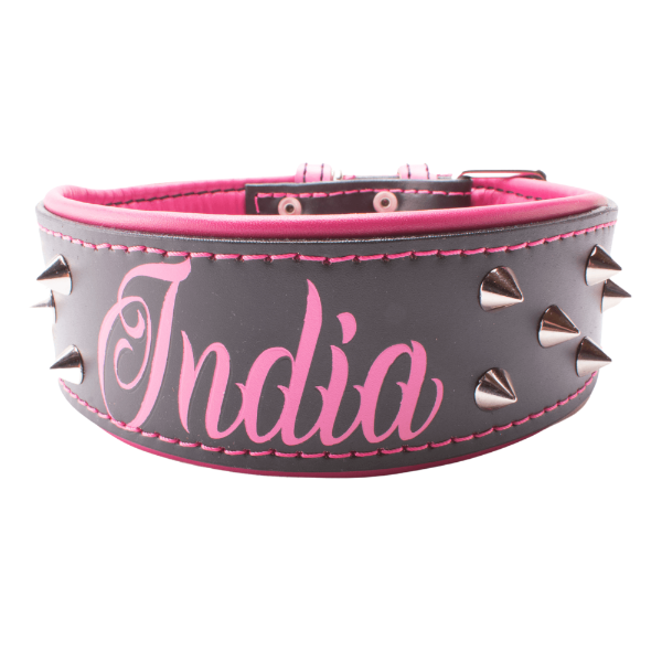 Collar de cuero para perros grandes, pitbull, american bully, rottweiler y similares. Este modelo es específico para perros hembra, de color negro y rosa, lleva unos conos metálicos decorativos.
