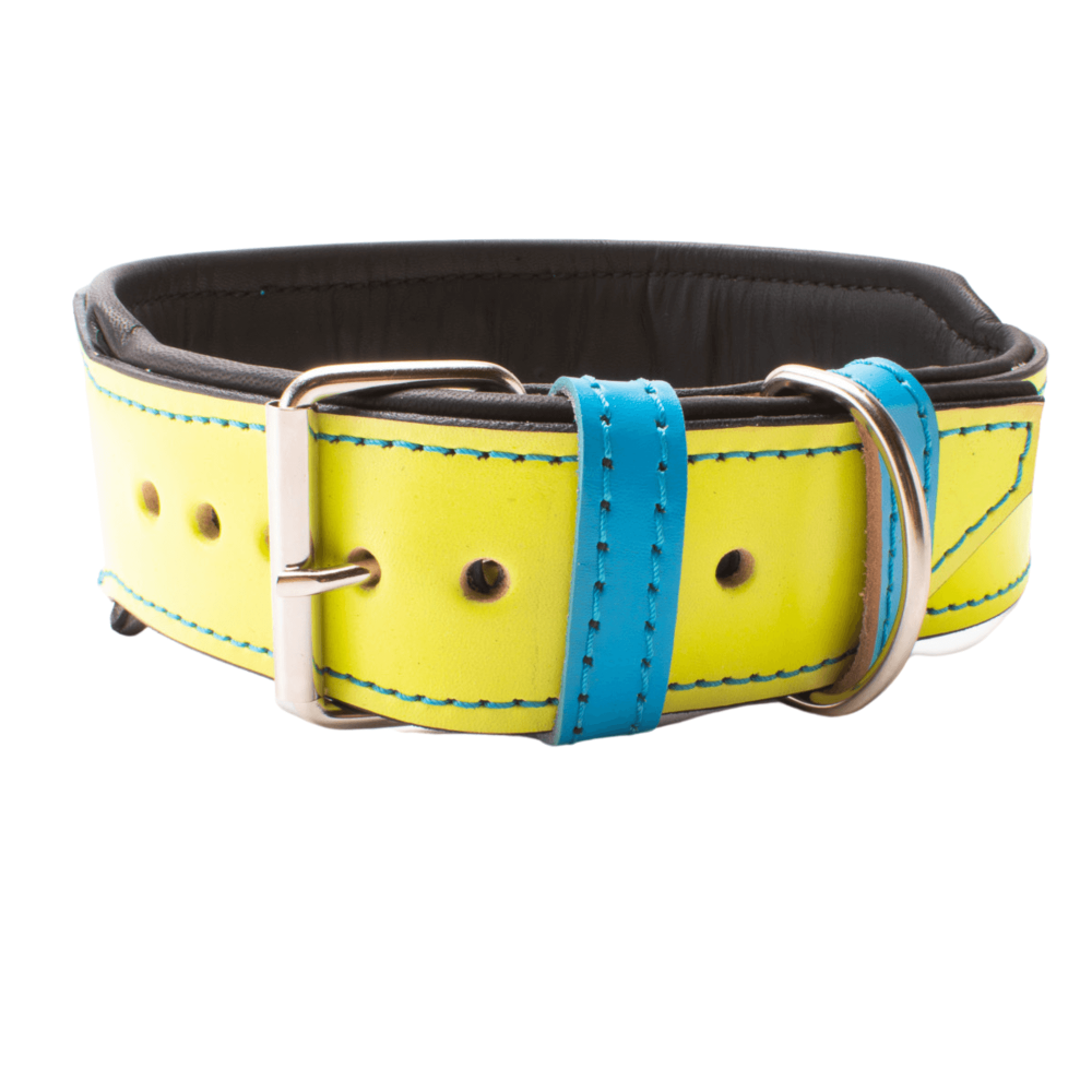 collar para perro de cuero
