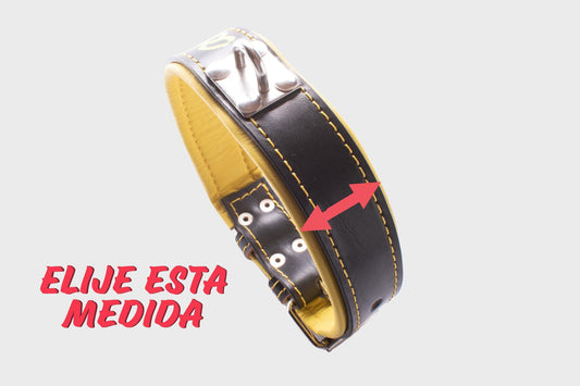 Selecciona la medida que quieres que tenga de ancho el collar.