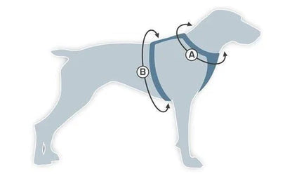 Arnés para perro diseñado con IA