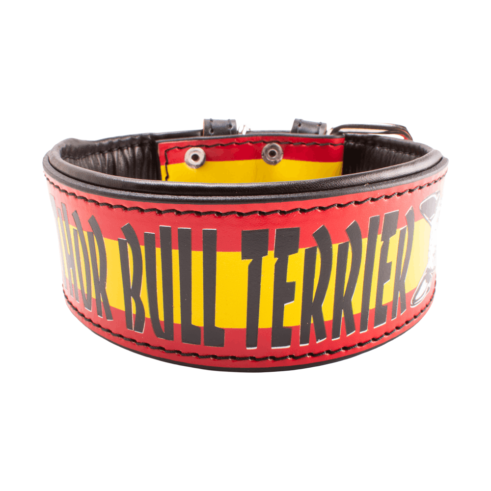 Collar para bull terrier (bandera de España)