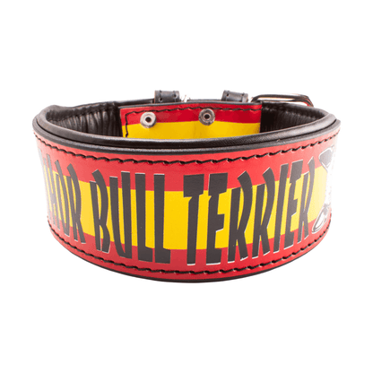 Collar para bull terrier (bandera de España)
