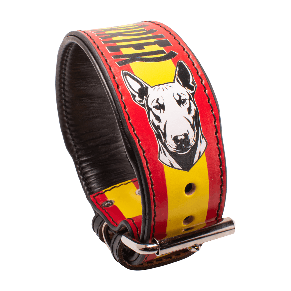 Collar para bull terrier (bandera de España)