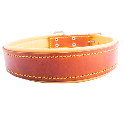 Collar para perro