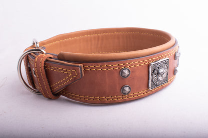 Collar para perro