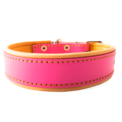  Collar para perro hembra