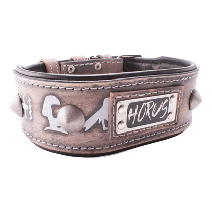 Collar para pitbull