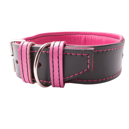 Collar de cuero para perros grandes, pitbull, american bully, rottweiler y similares. Este modelo es específico para perros hembra, de color negro y rosa, lleva unos conos metálicos decorativos. Imagen del collar visto desde la parte de abajo.