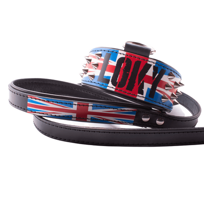 collar y correa para perro